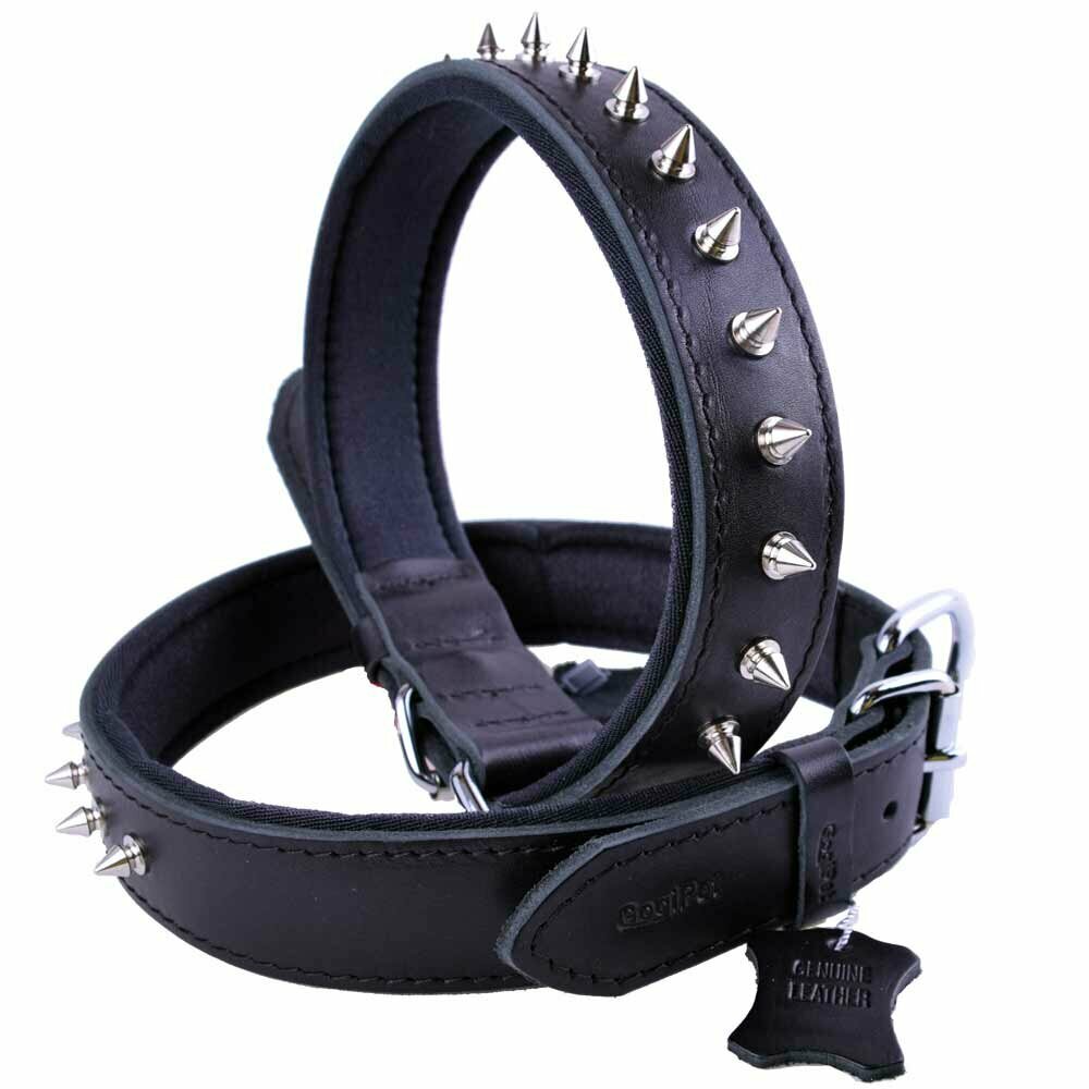 GogiPet® Spike leather dog collar 70 cm black