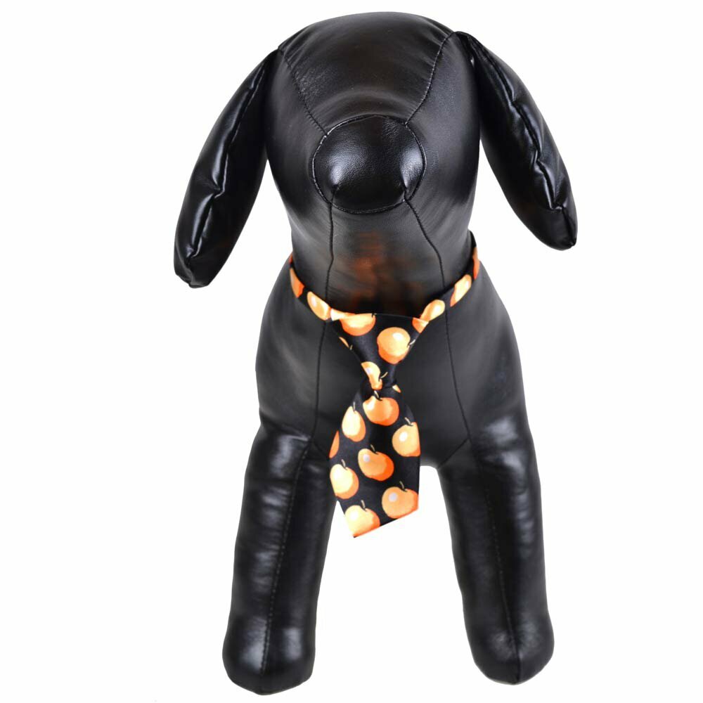 Necktie for dogs black with apples