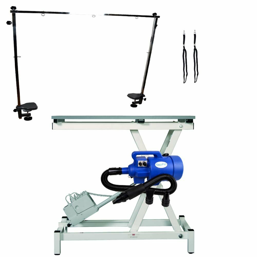 Electrically height-adjustable grooming table with dog dryer