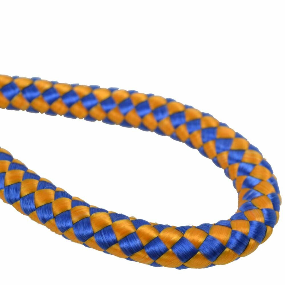 Lightweight, sturdy dog leash blue orange