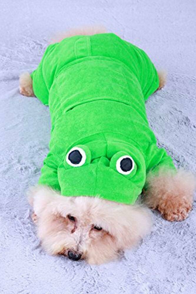 carnival costumes or leisure suit for dogs - green frog