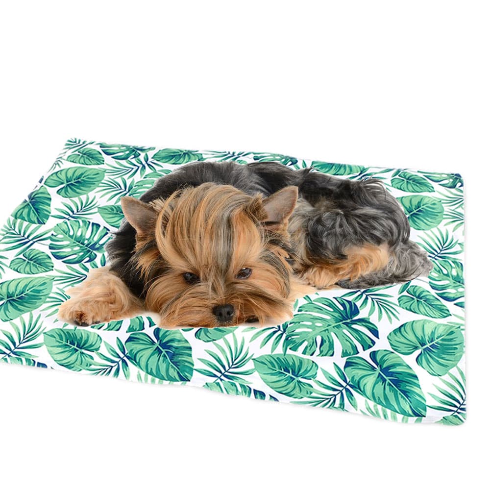 Cooling Mat for Dogs by GogiPet