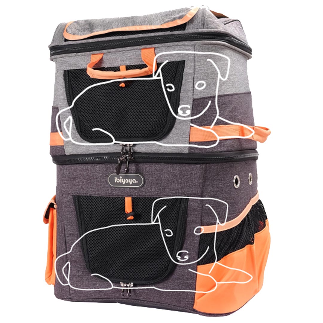 The dog backpack for 2 smaller pets