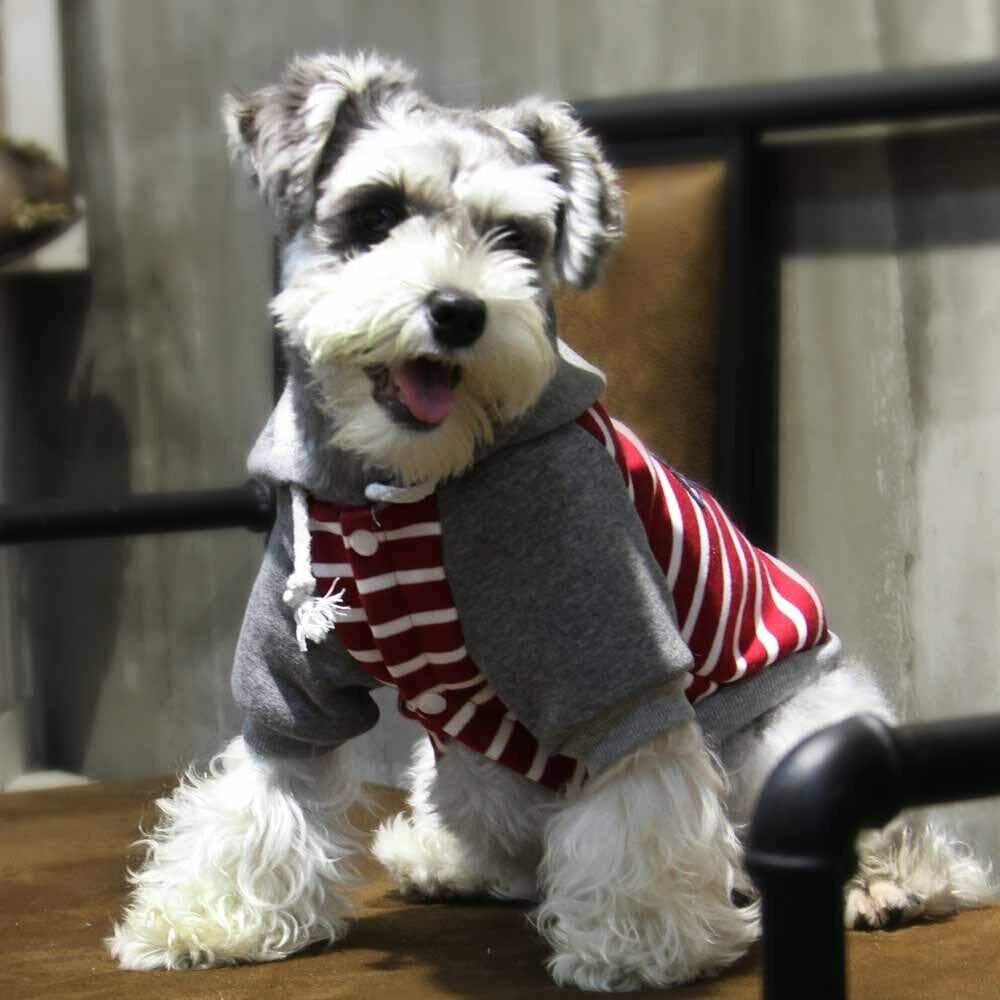 Warm dog jacket for dogs with hood red white striped