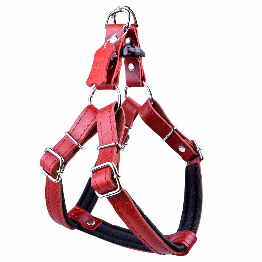 Leather chest harness for dogs red M