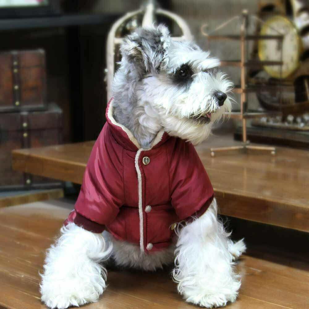 Warm dog snow suit Air Force red