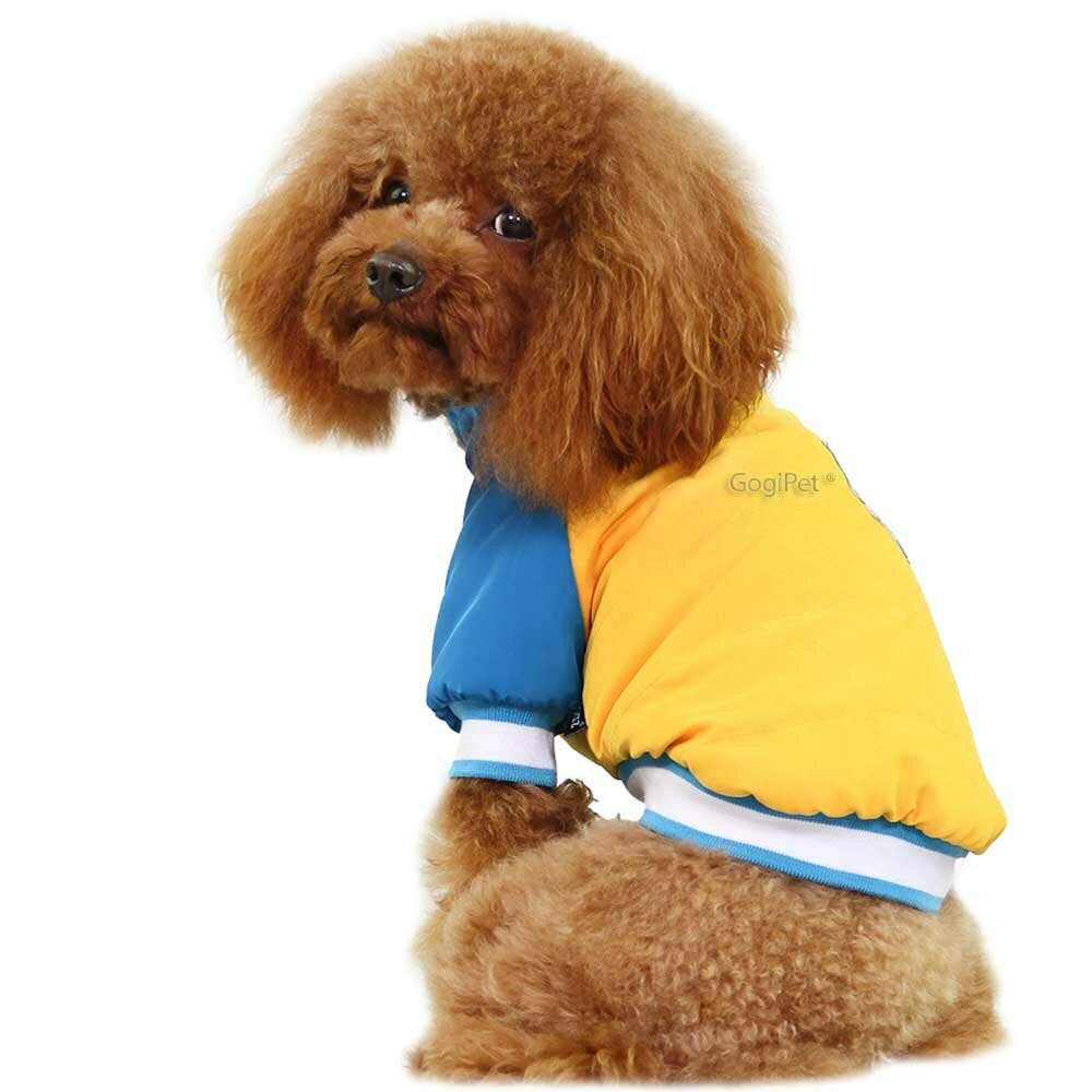 Warm dog jacket - yellow sports jacket for dogs for the winter