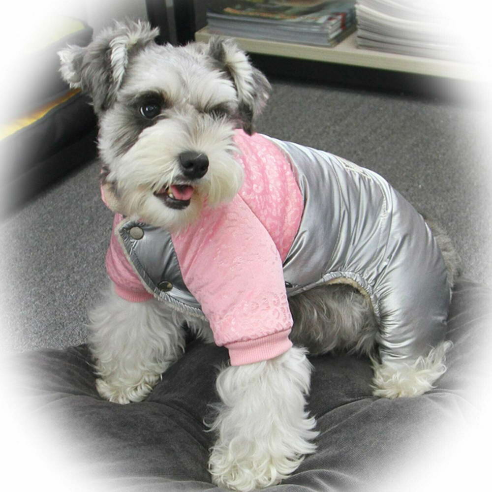 Loving warm dog clothes from GogiPet