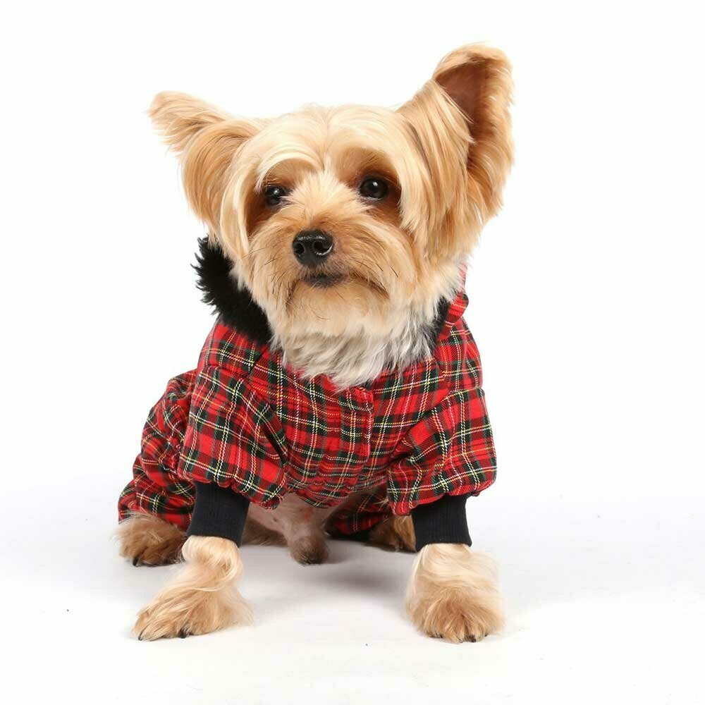 Warm dog clothes red plaid for winter