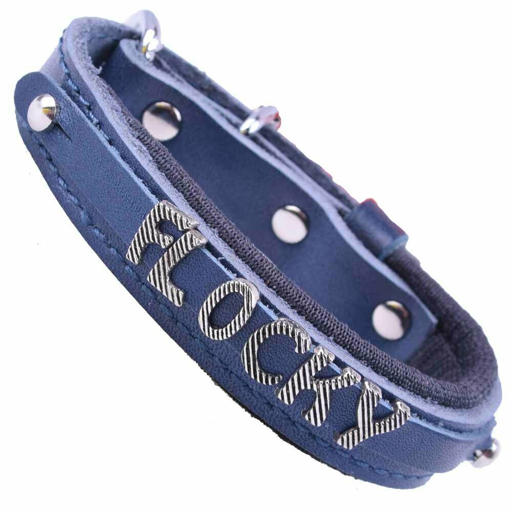 Leather dog collars as name collar blue from GogiPet