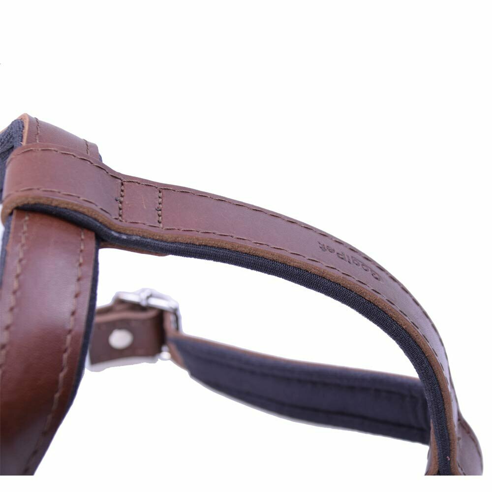 Padded dog chest harness made from genuine leather