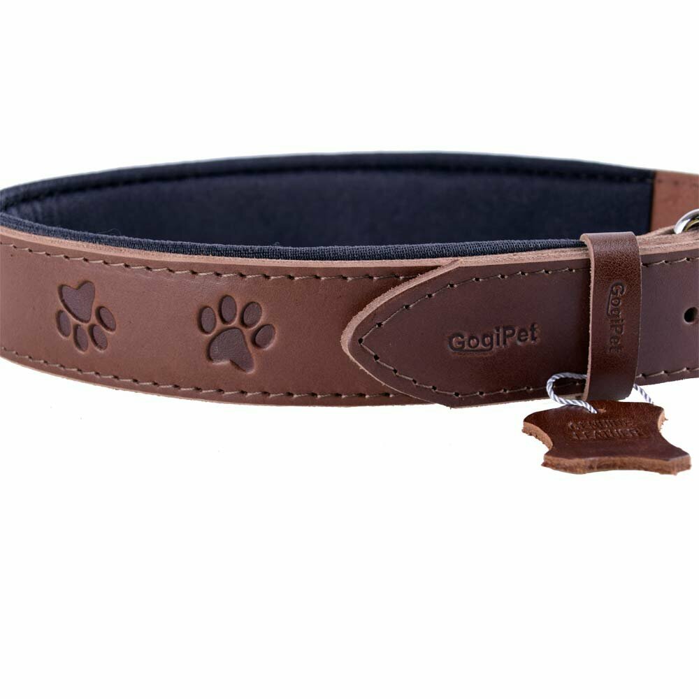 Soft padded, brown dog collar with 3D paws