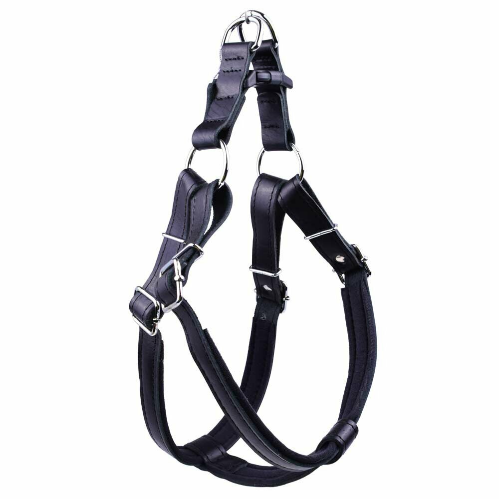 High-quality dog harness made from genuine leather