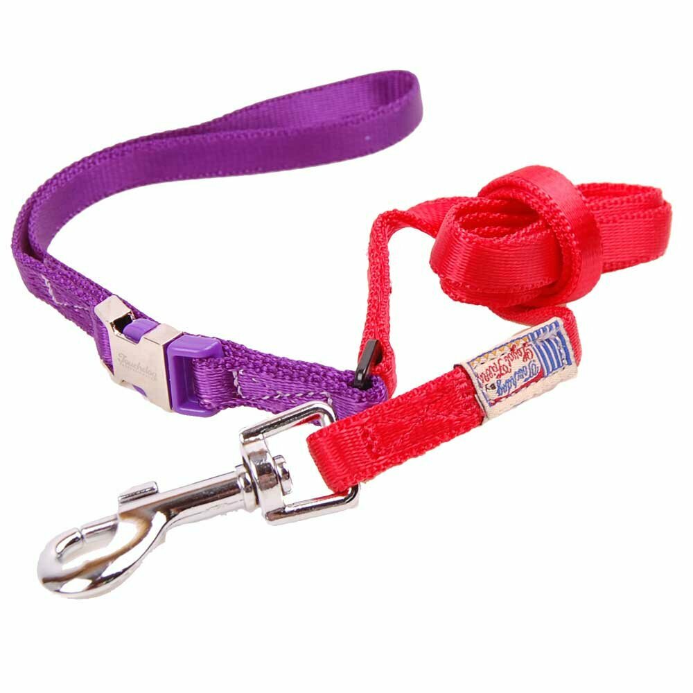 Fabric dog collar red with purple red leash