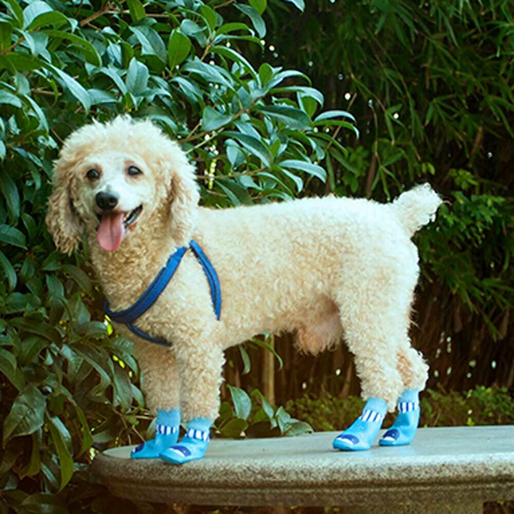 Cartoon dog shoes - waterproof dog socks