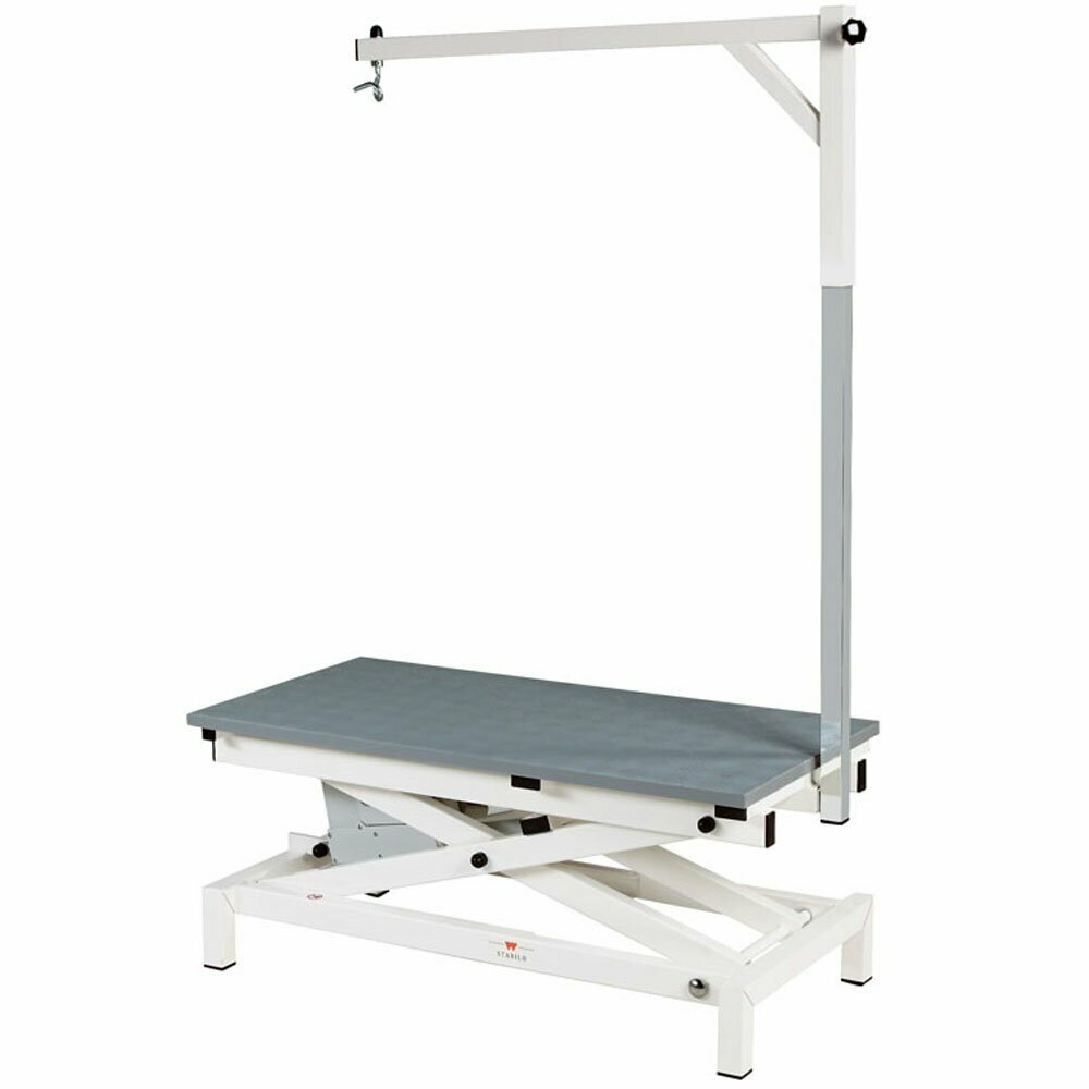 Grooming table for large dogs and small dogs of Stabilo 120 x 65 cm