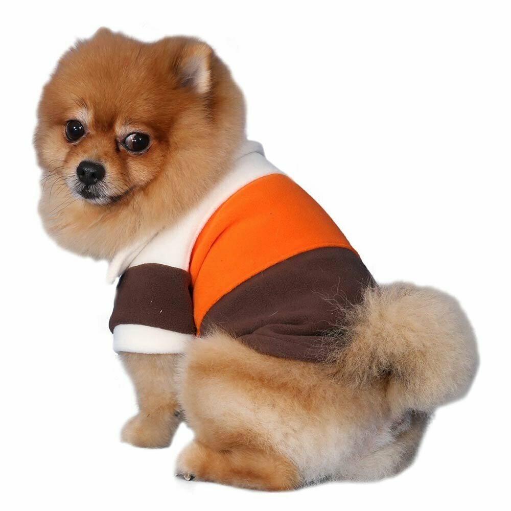 Warm dog sweater at Onlinezoo at low prices