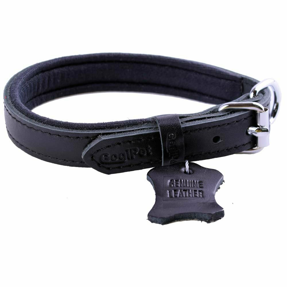 Handmade leather dog collars from GogiPet
