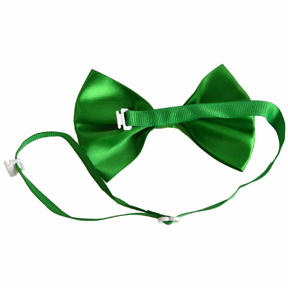 Green dog bow tie with quick release