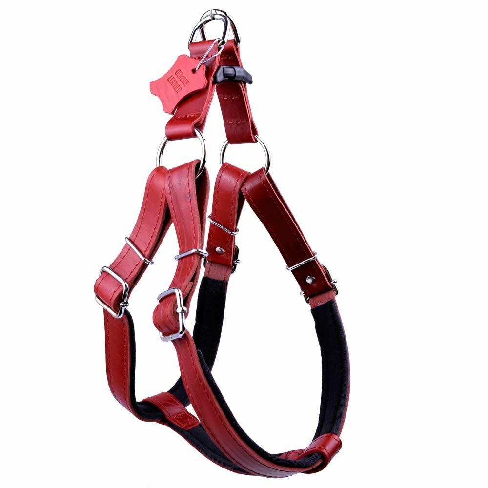 GogiPet® comfort leather chest harness red XXL