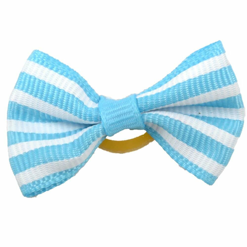 Dog hair bow rubberring Mario blue and white sriped by GogiPet