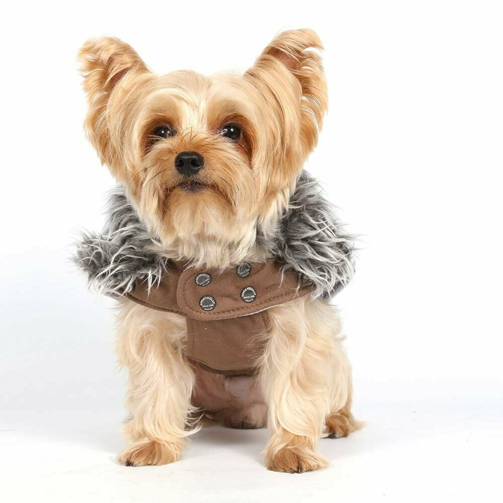 Warm dog coat without sleeves for pampered dog