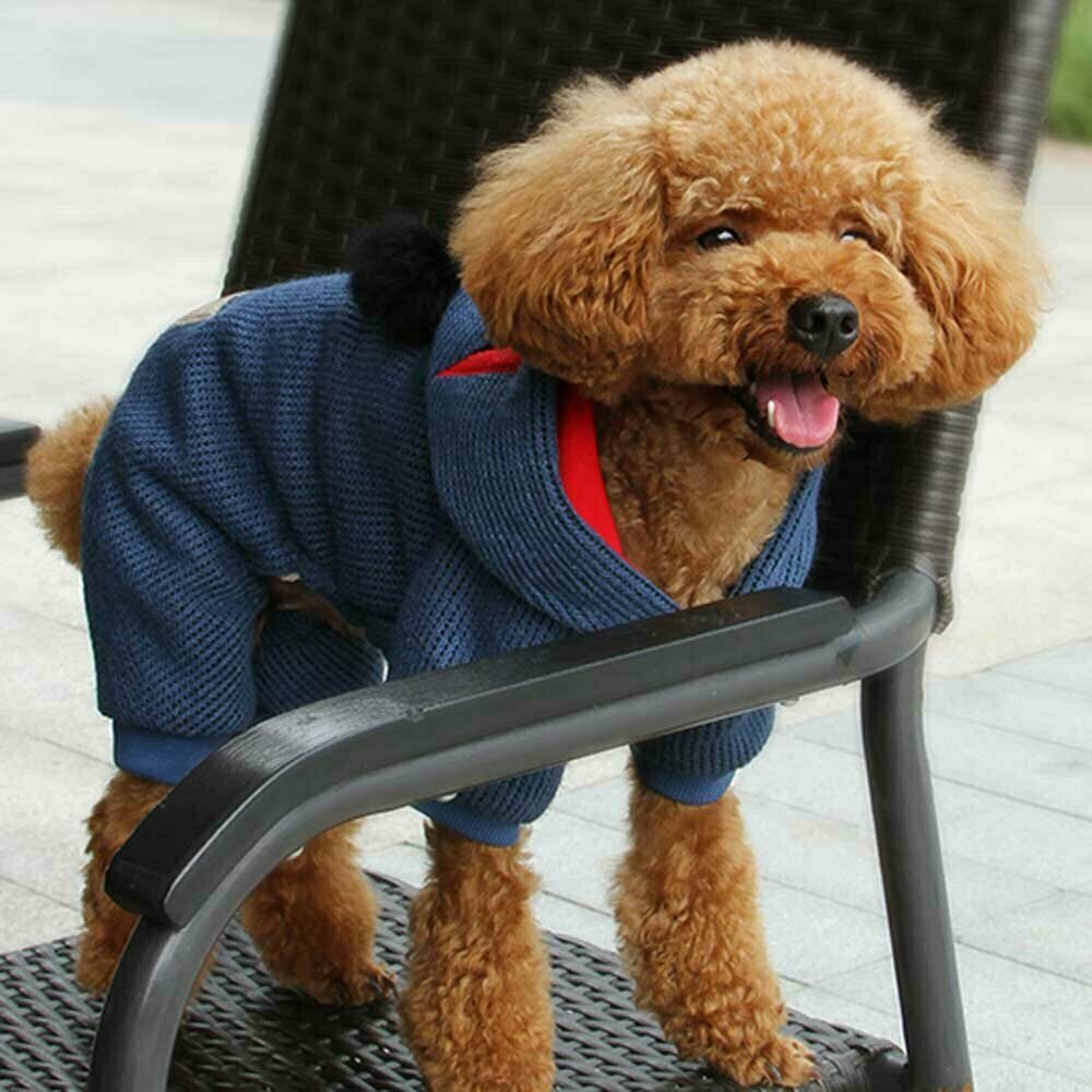 Monster Dog Clothing - Warm dog clothes for the winter