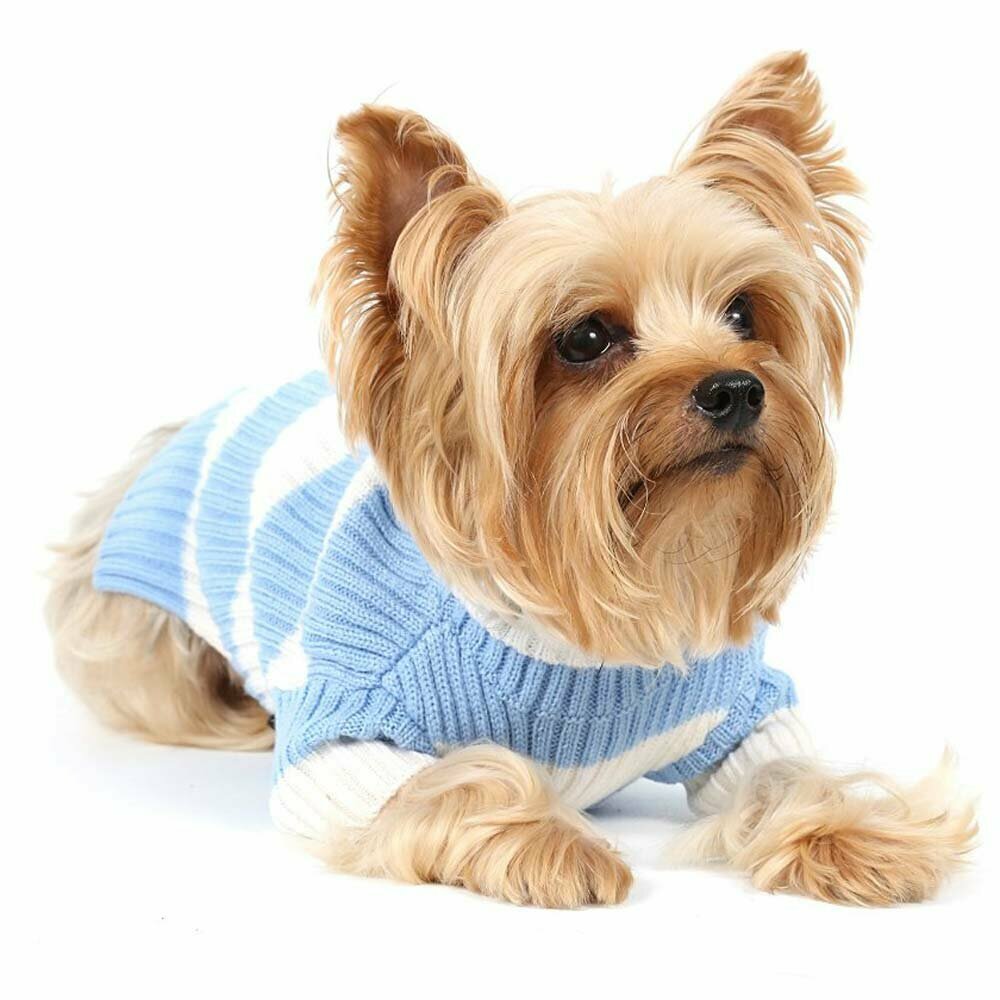 Classic knit sweater by DoggyDolly striped blue white