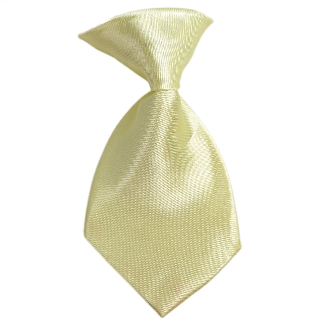 Ivory self-tie for dogs
