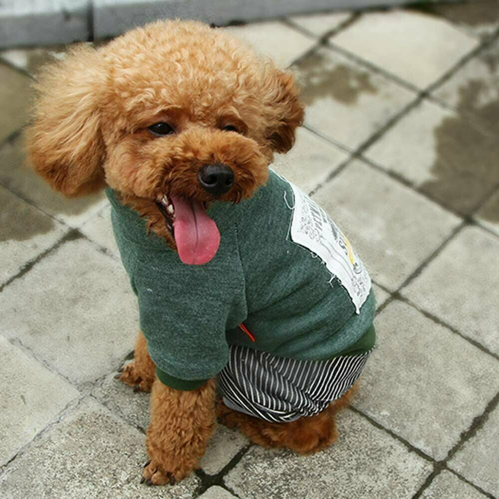 Warm dog coat green