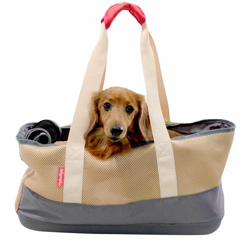 Dachshundtasche the dog carrier for the Dachshund