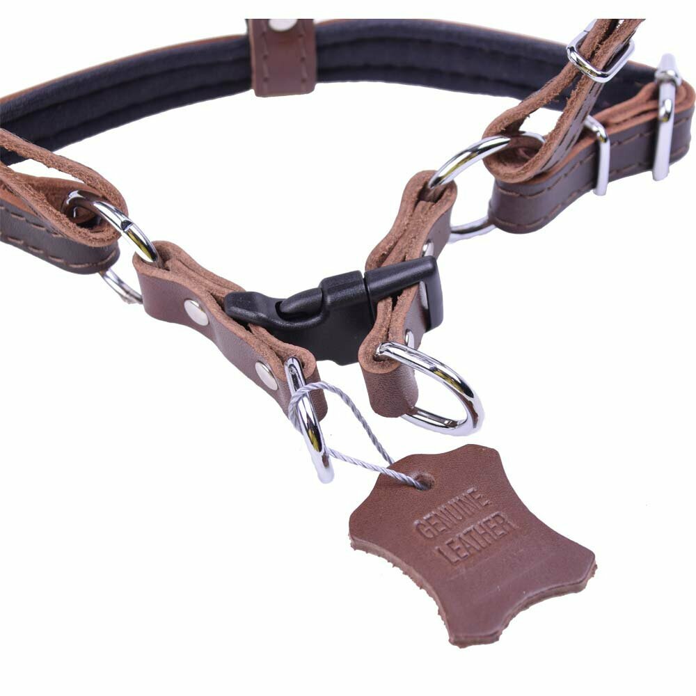 Quick release dog harness from GogiPet