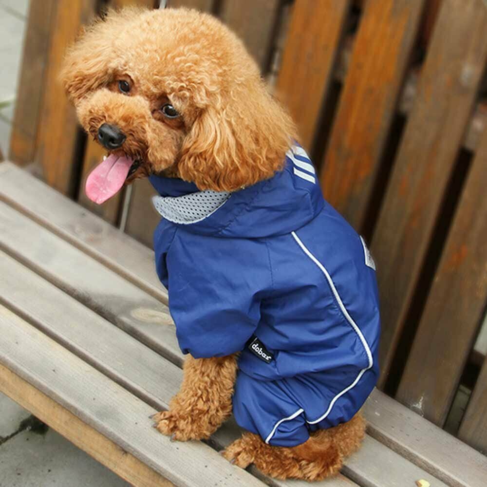 Dog Raincoat for small dogs