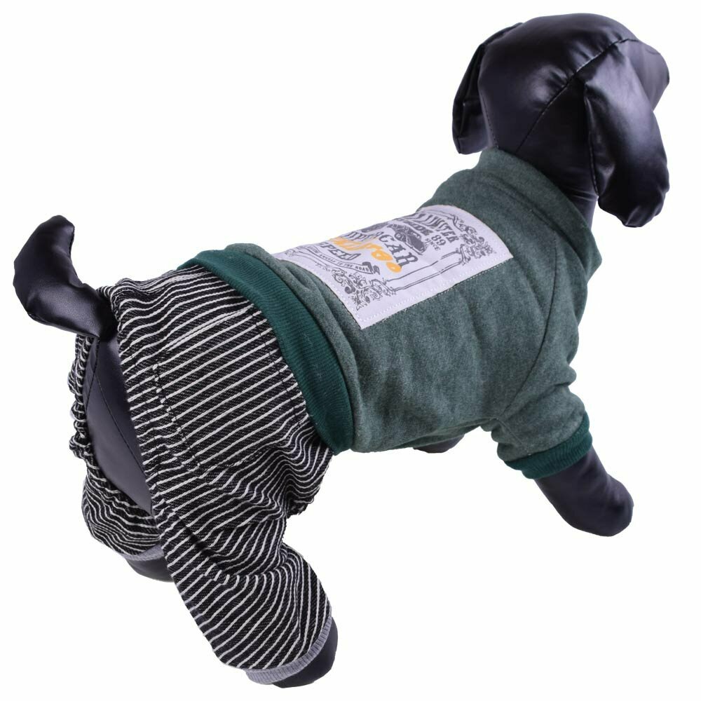 Warm cotton jumpsuit for dogs - Green Supercar dog clothes by GogiPet