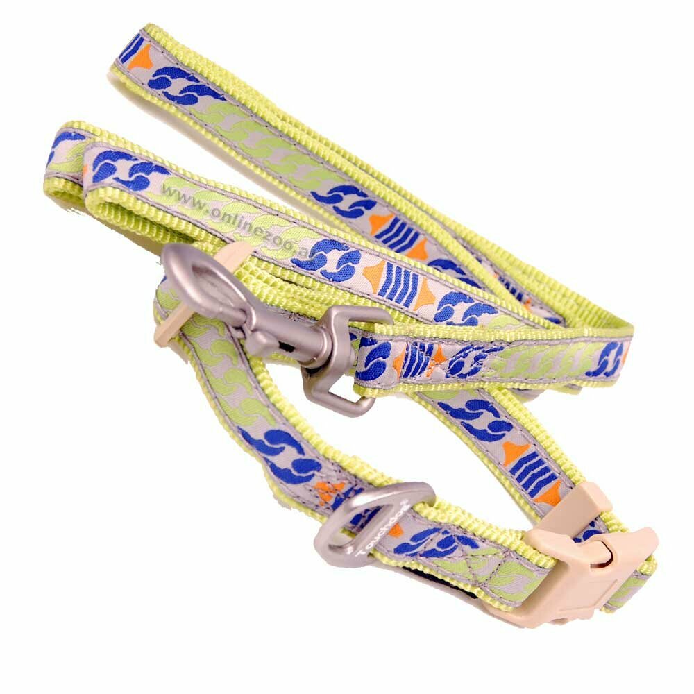 Modern dog collar with leash in a set of Touchdog green with pattern