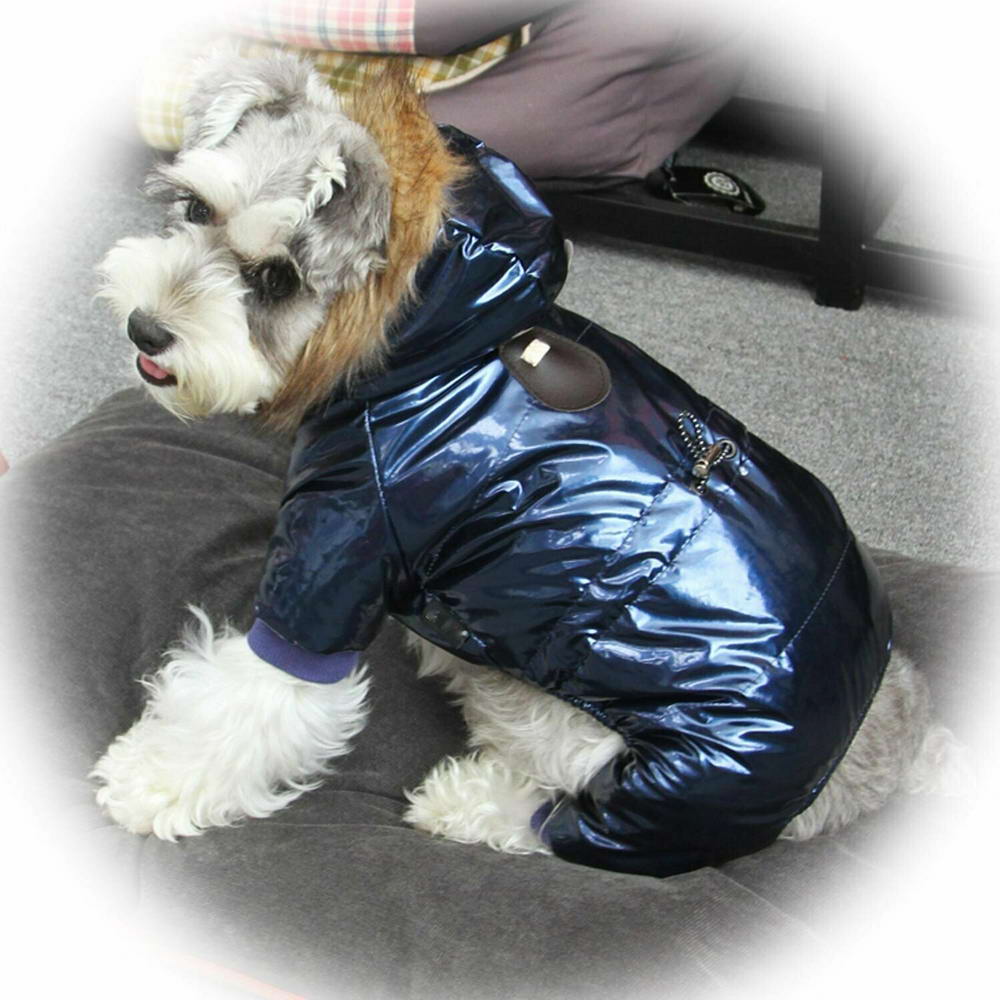 Blue GogiPet Dog Coat for the Winter