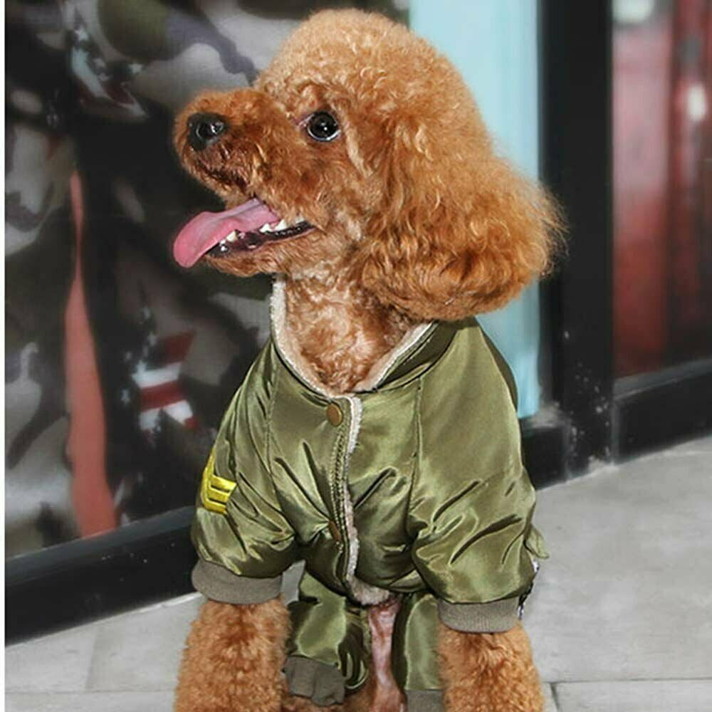 Air Force dog coat for the winter - warm dog clothes