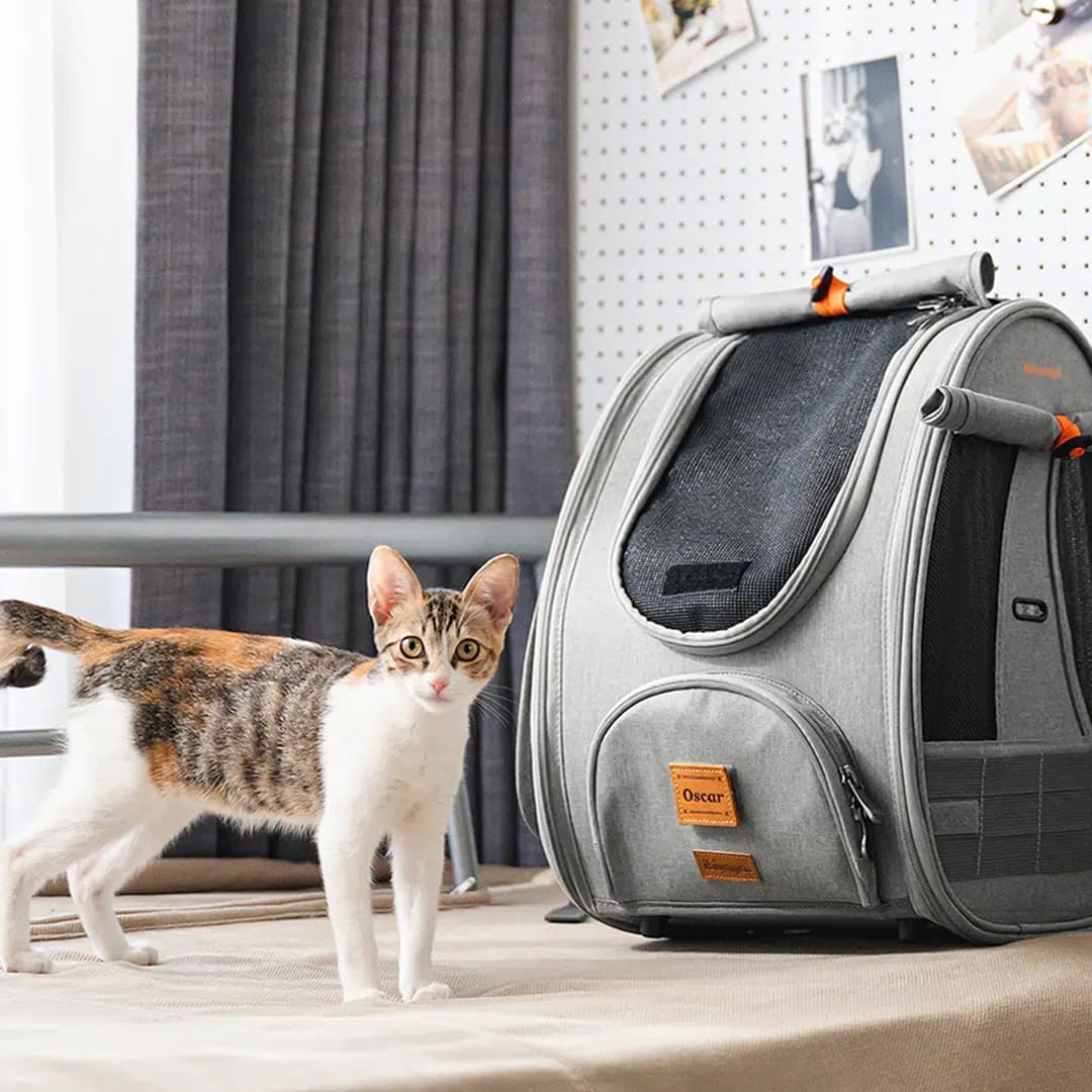 Backpack for cats GogiPet Delux