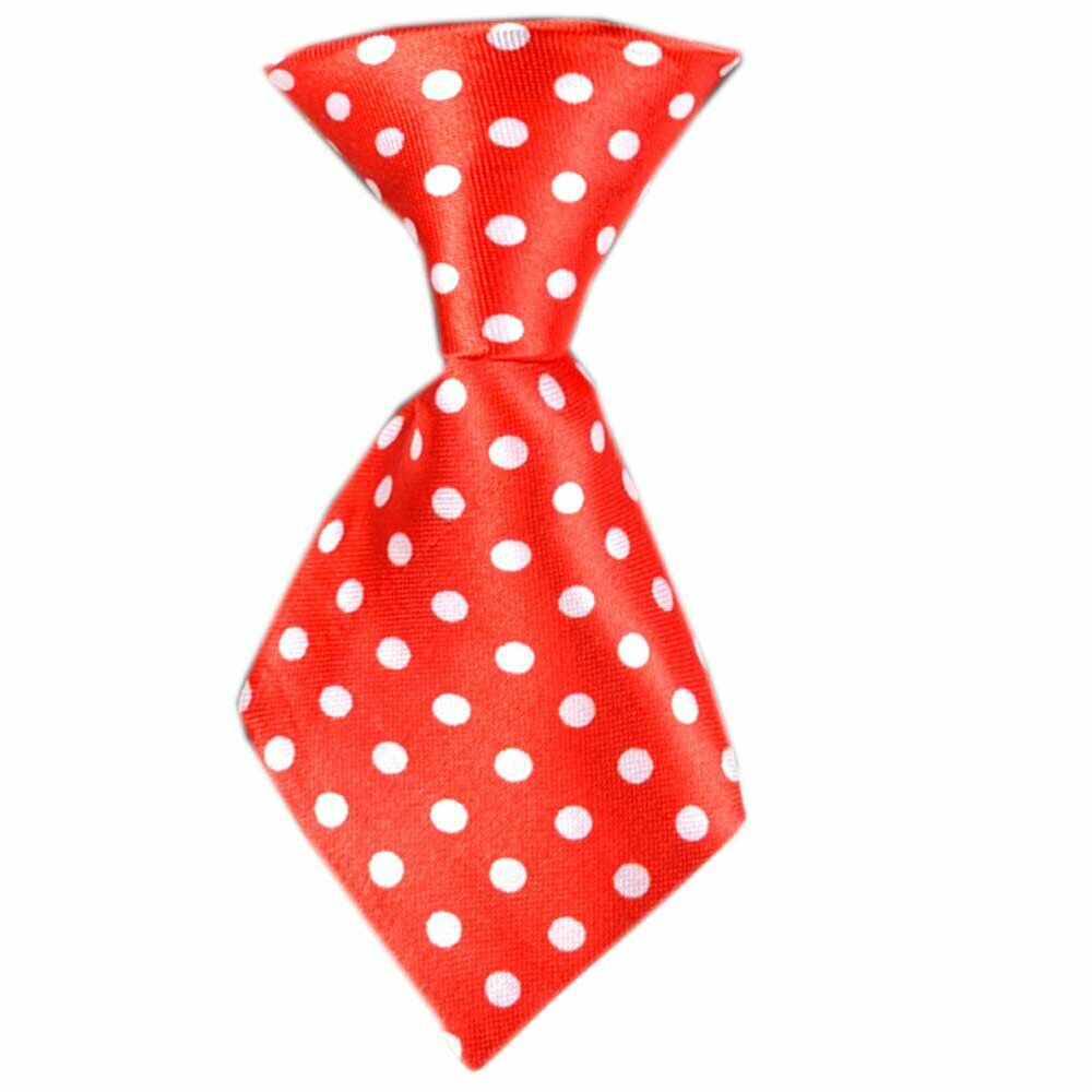 Dog tie spotted red