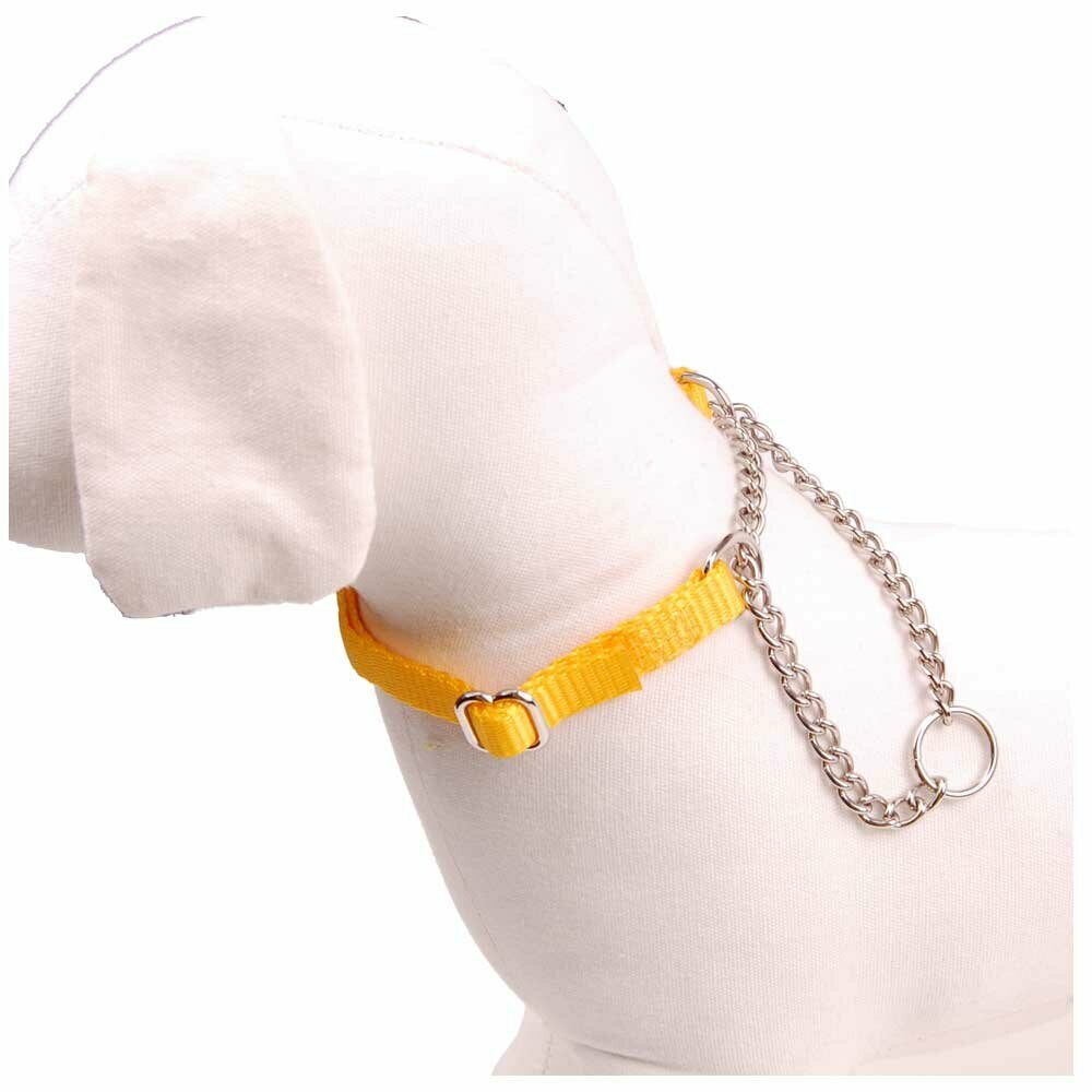 yellow dog martingale collar Nylon