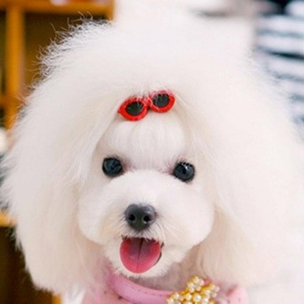 Hair clip for dogs in the form of sunglasses