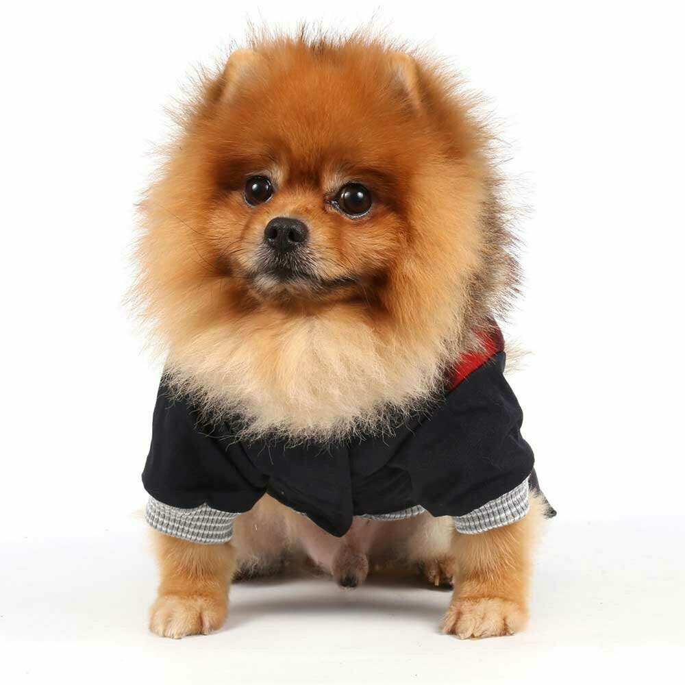 Dog coat with 4 sleeves for winter