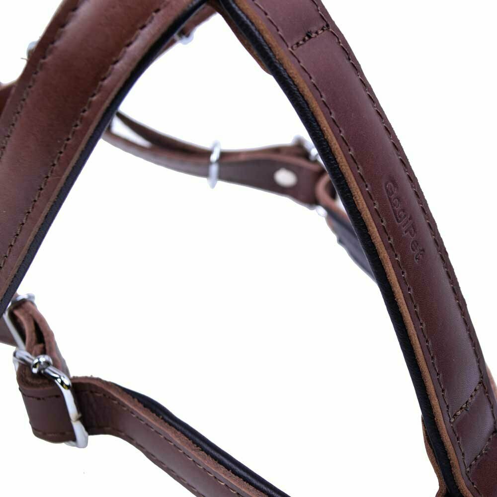 Robust dog harness with 2 layers of leather
