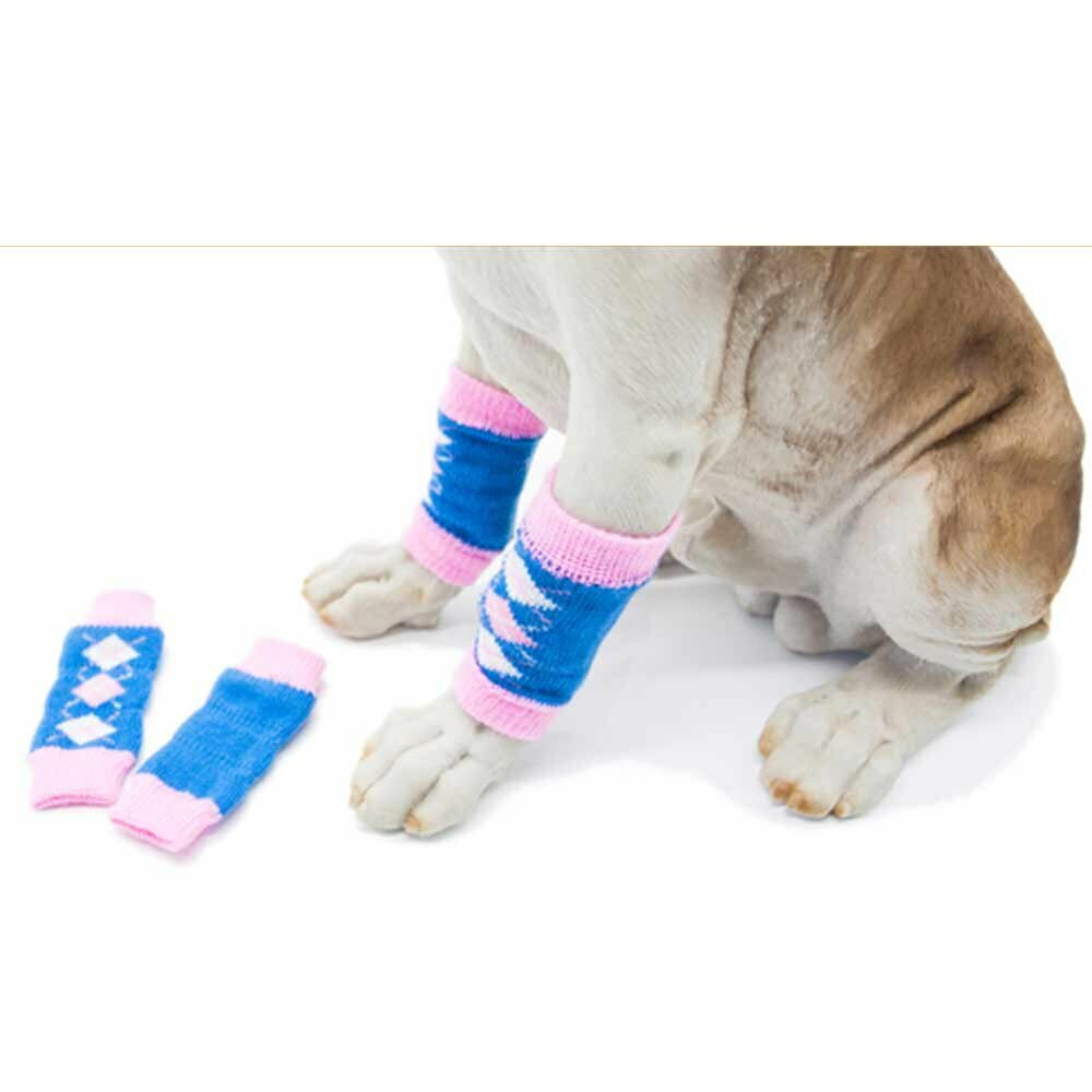 Dog leggings blue pink checked