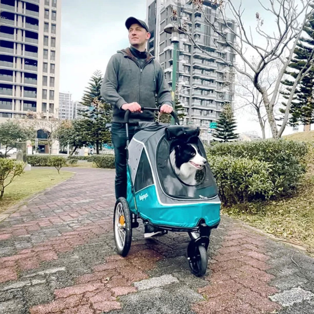 Large pet transporter for medium-sized dogs or for several smaller pets