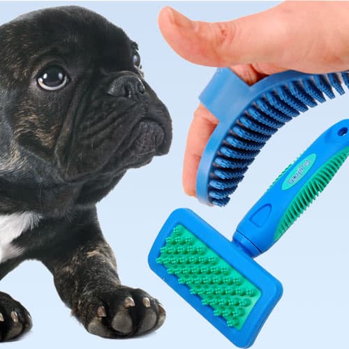 Rubber Brushes - Pet Grooming Brushes