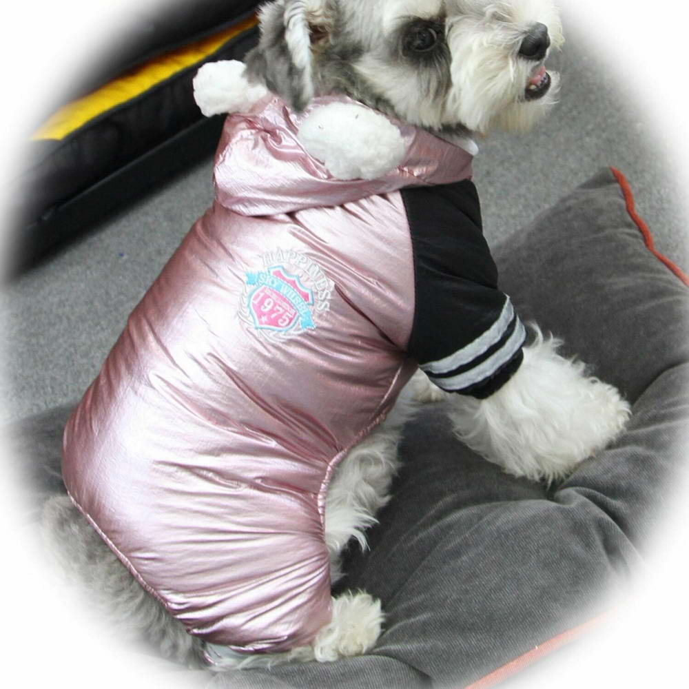 Beautiful dog coat for the winter