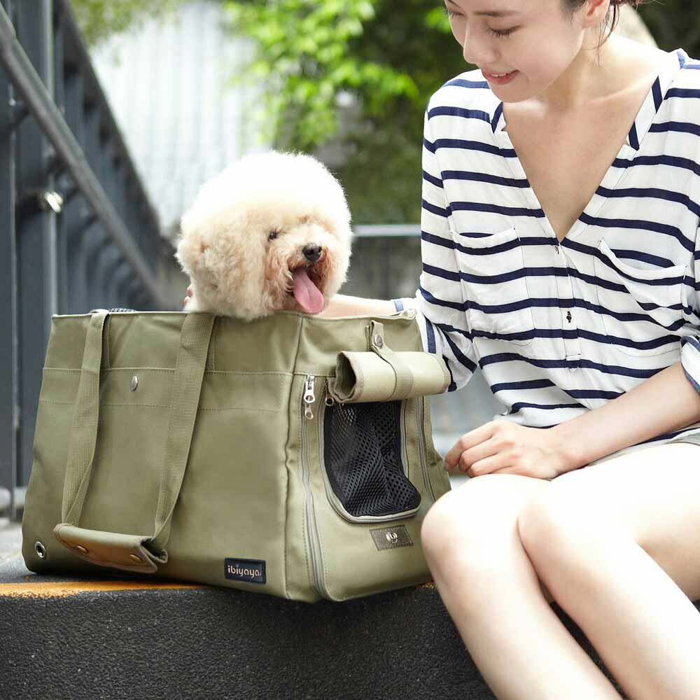 Modern dog carrier for the most fashionable wearer