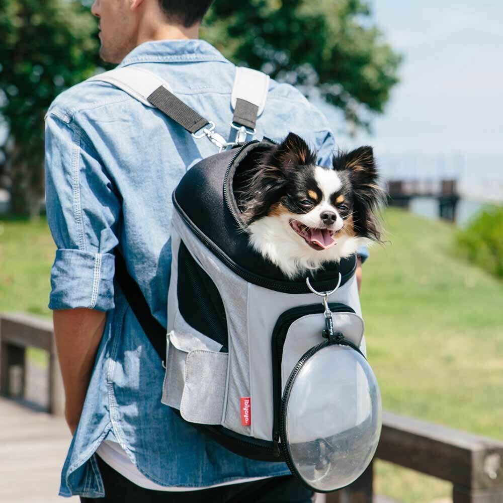 Dog rucksack for travel