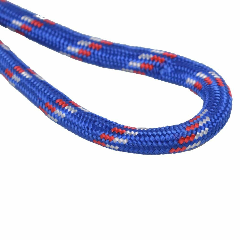Tear-resistant dog leash made of mountain climbing rope blue